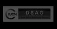 DSAG
